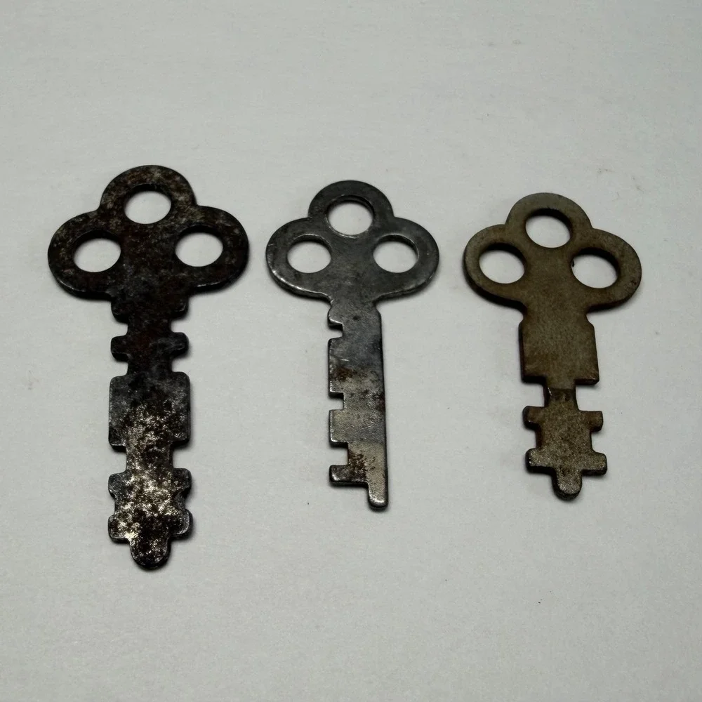 3 Trefoil Flat Skeleton Keys includes a National Lock Co Rockford, Il Steampunk